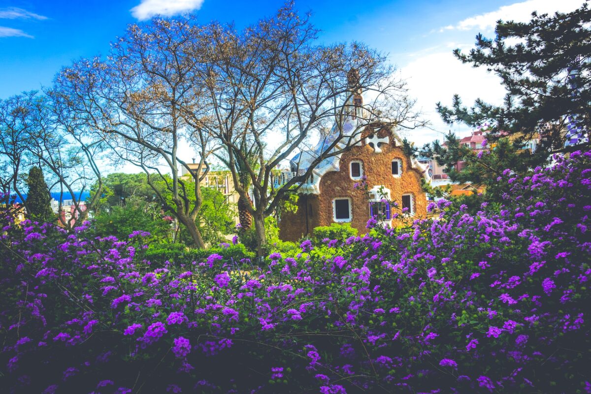 Découvrir la beauté des jardins secrets de Barcelone